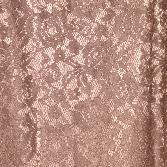 Fossil Nude Lace Shift Dress - Picture 6 of 6